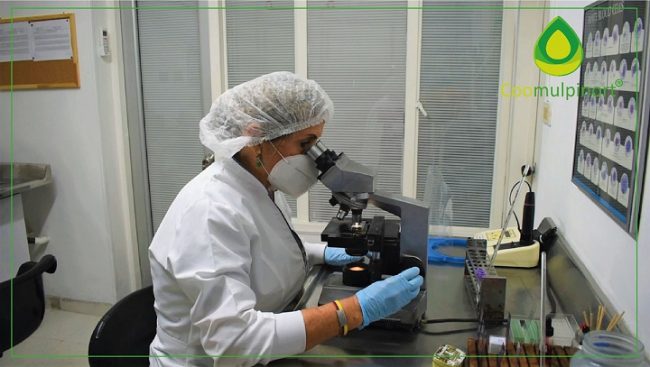 beneficio_bacteriologia